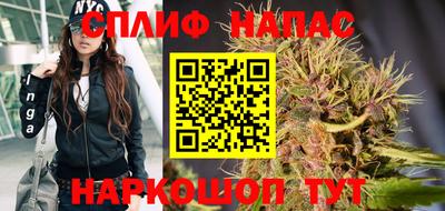 спиды Канаш